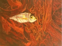 A travers les mailles du filet/dans la nasse